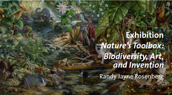 Isabella Kirkland | 2011 | archival ink jet print 61.75” H x 50.75” W | Courtesy of Feature Inc., New York
