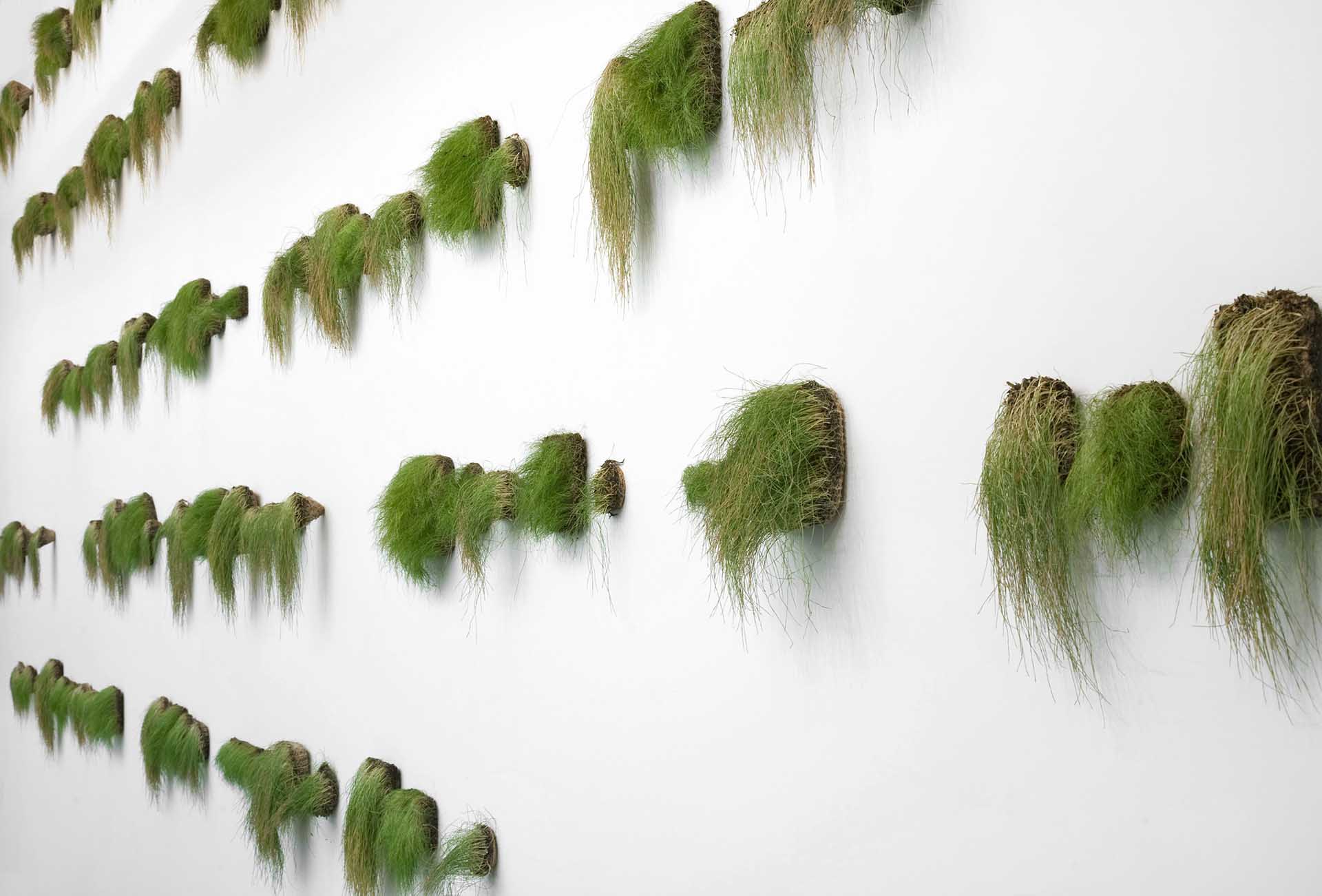 wheat plants growing out of wall