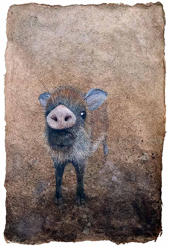 watercolor painting of wild piglet