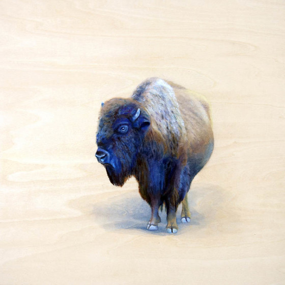 painting of solitary bison by Shelby Prindaville, acrylic on wood
