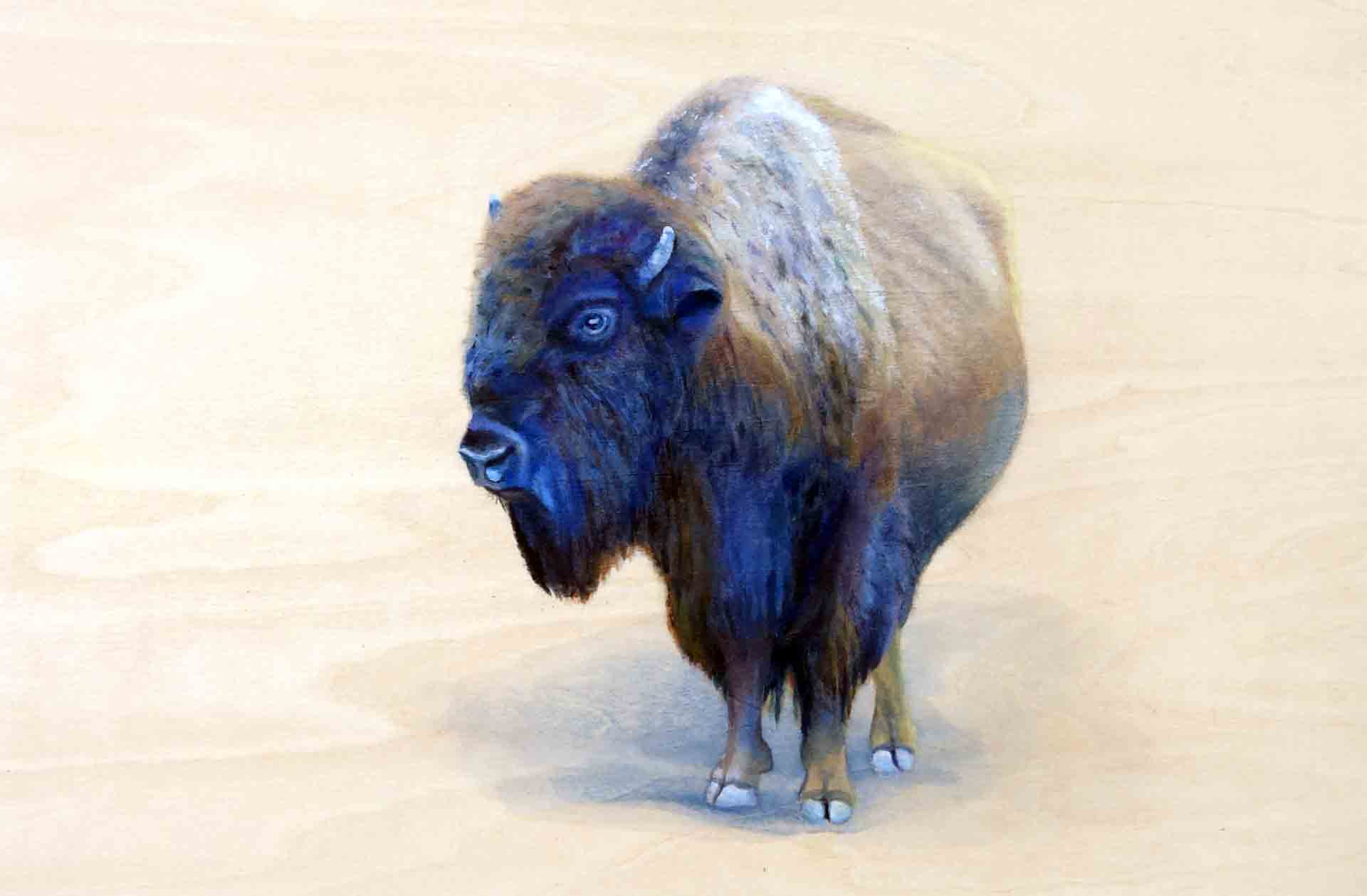 painting of solitary bison by Shelby Prindaville, acrylic on wood