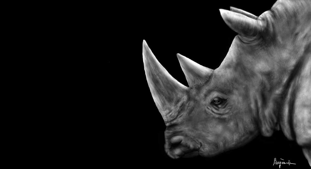 rhinoceros profile