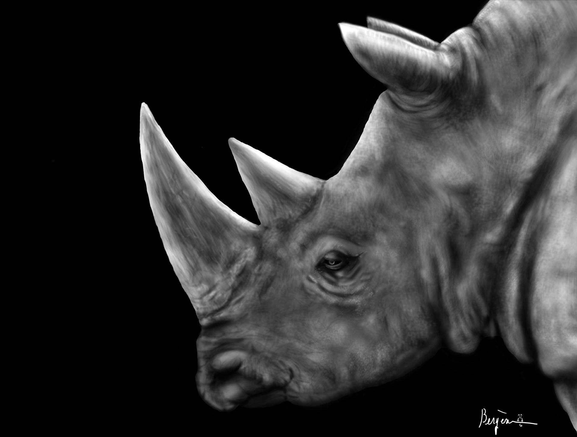 Rhinoceros in profile