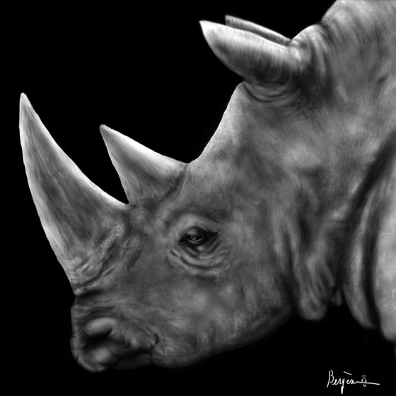 rhinoceros profile