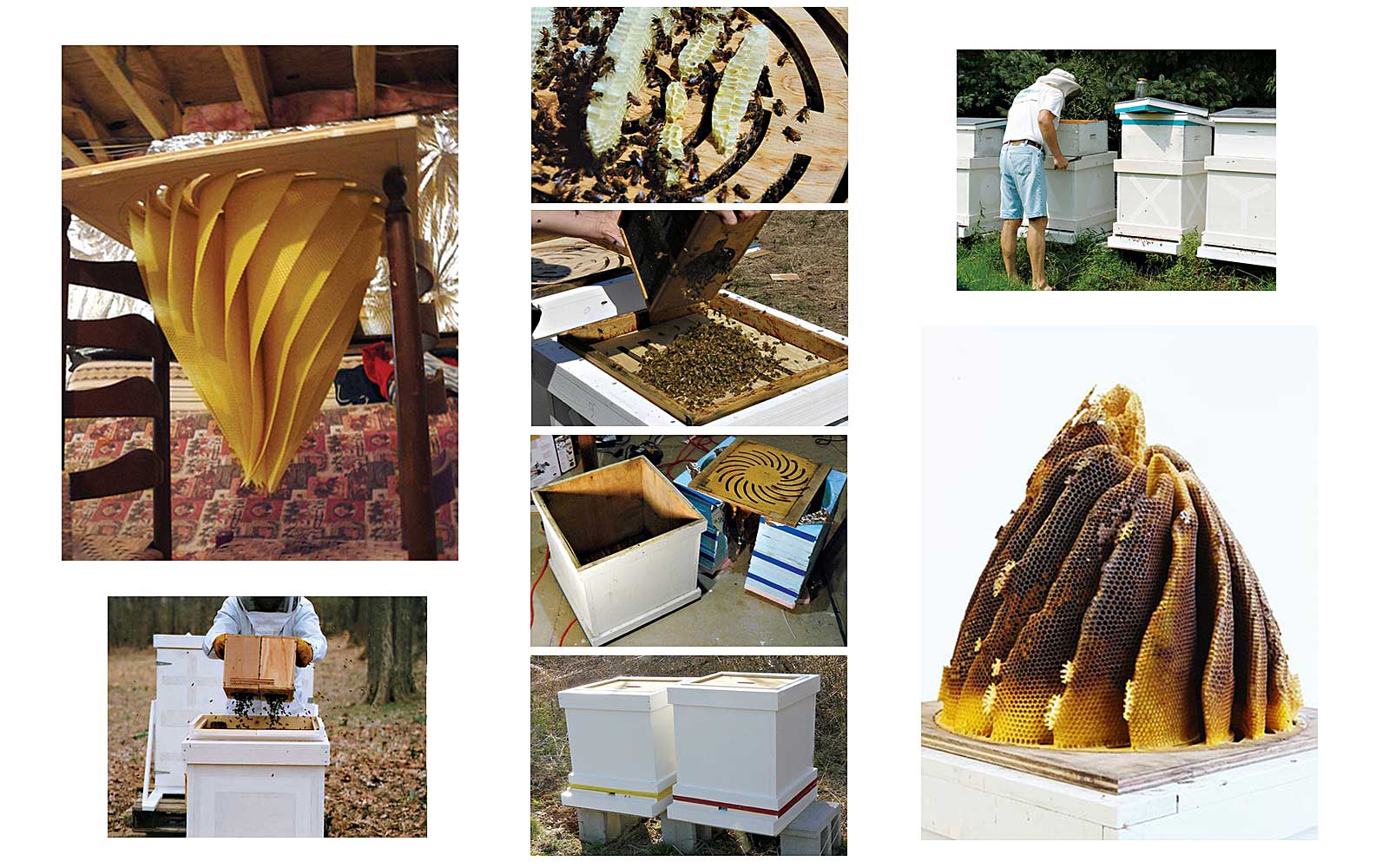 images of Hilary Berseth making sculptural beehives