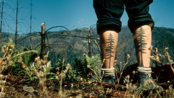 Standing in clear cut forest with tattoo of pine tree