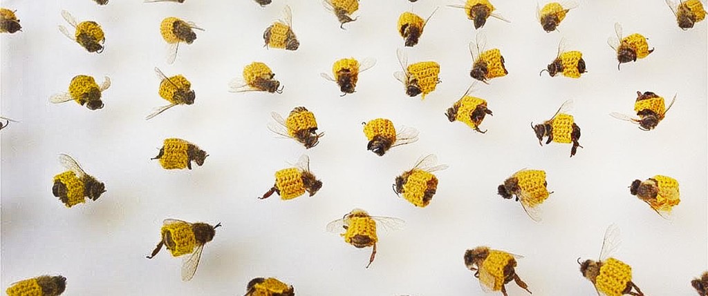 Bees with crocheted bandages