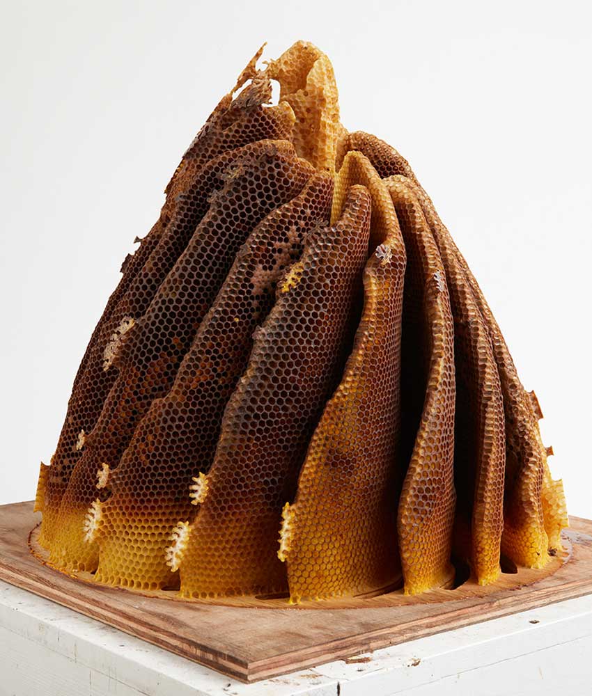 sculptural bee hive