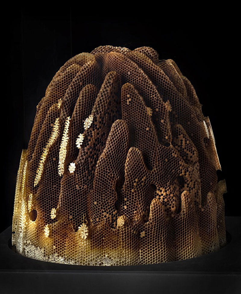 sculptural bee hive