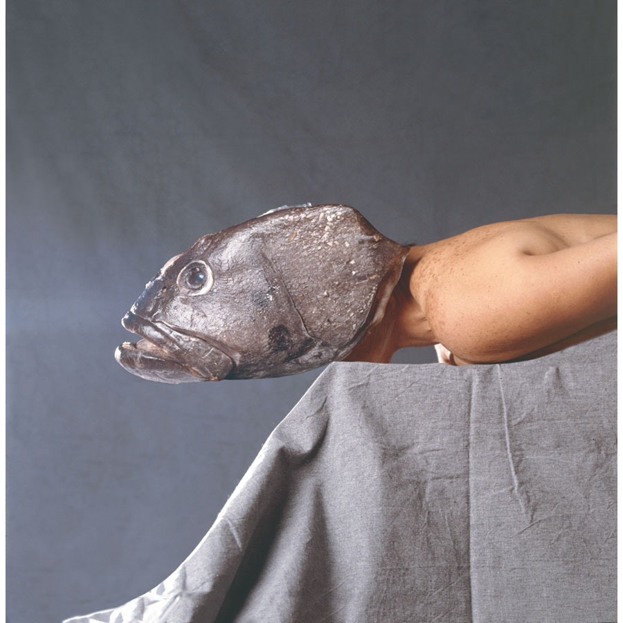 woman with fish head laying on table
