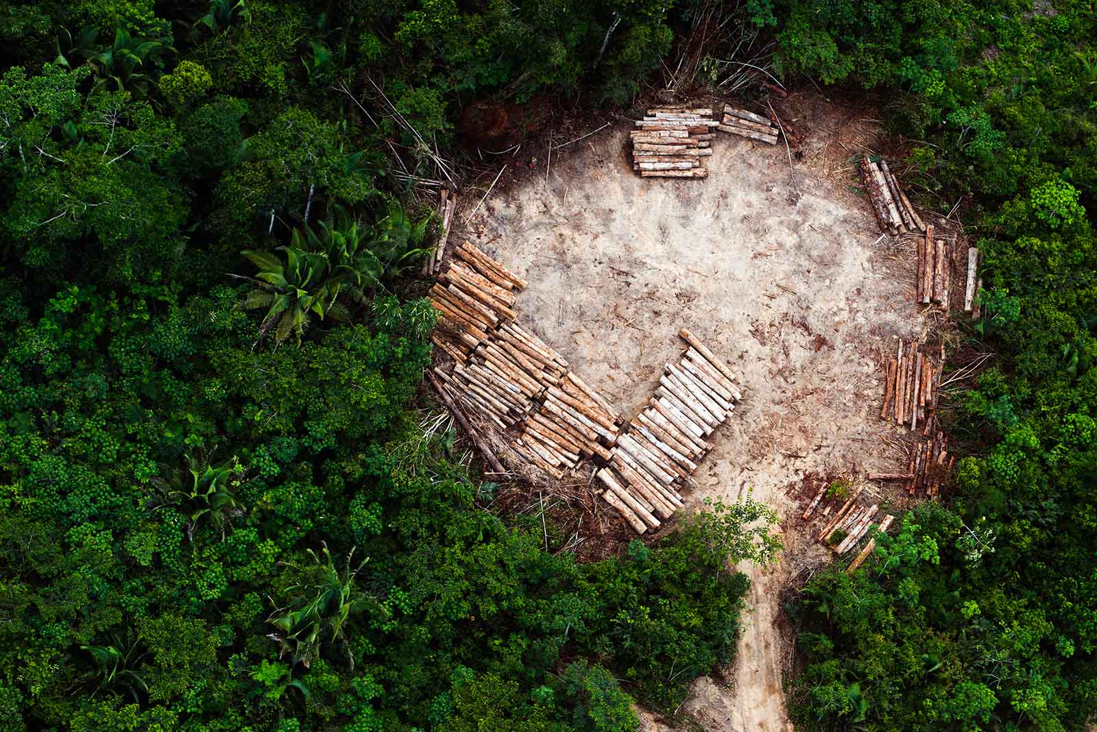 deforested amazon land