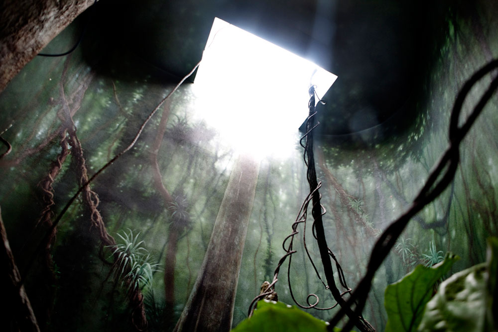 zoo enclosure painted to resemble natural environment