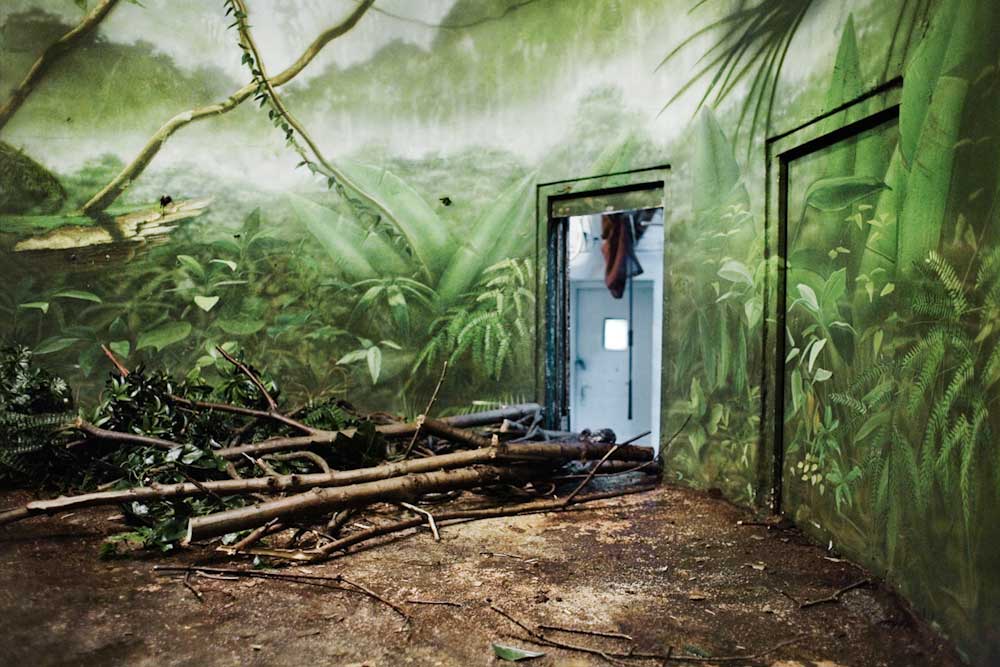 zoo enclosure painted to resemble natural environment