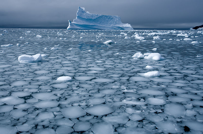 iceberg and forming sea ice