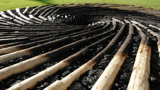 whirlpool pattern of charred pine trees