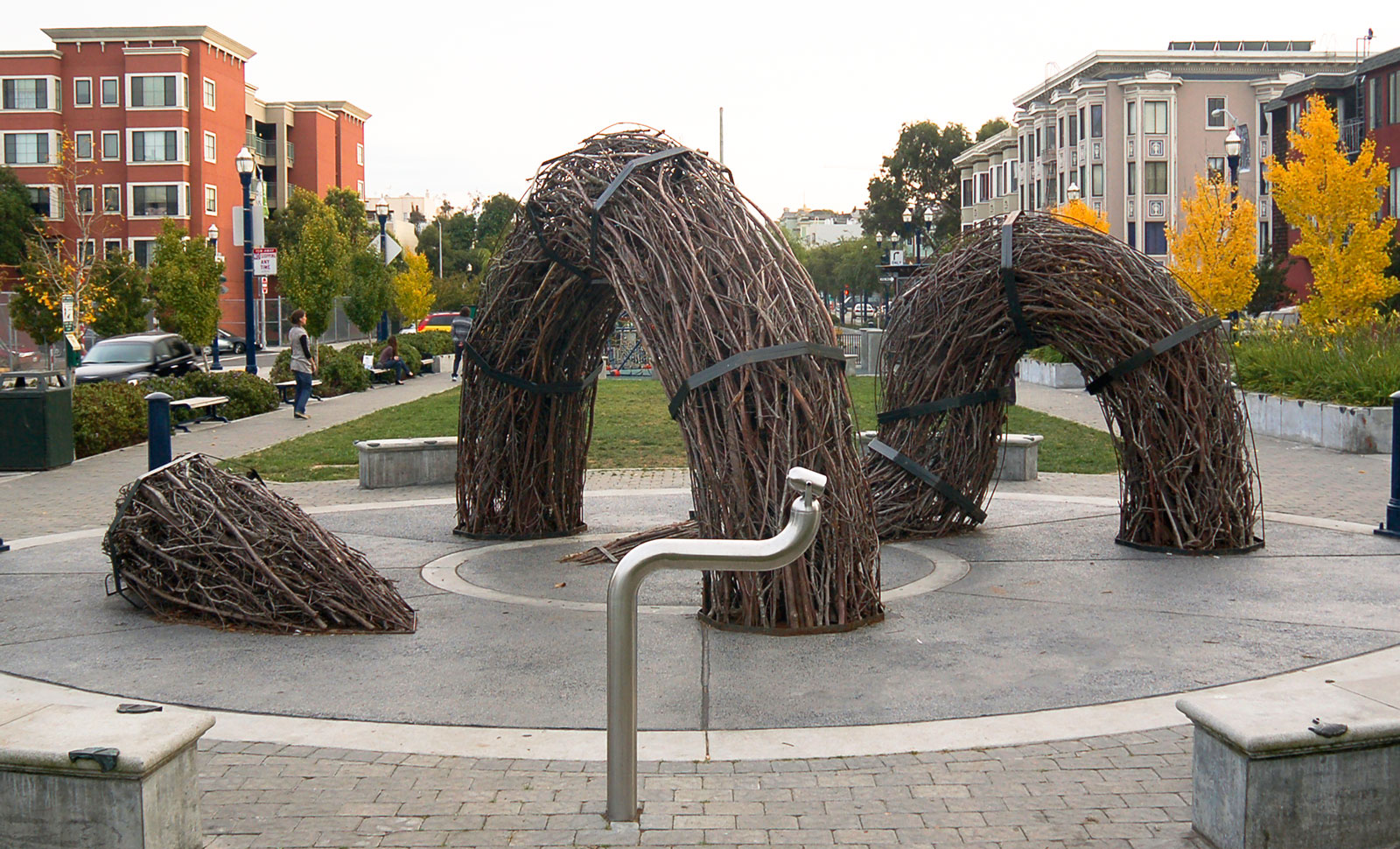 wood sticks in winding shape