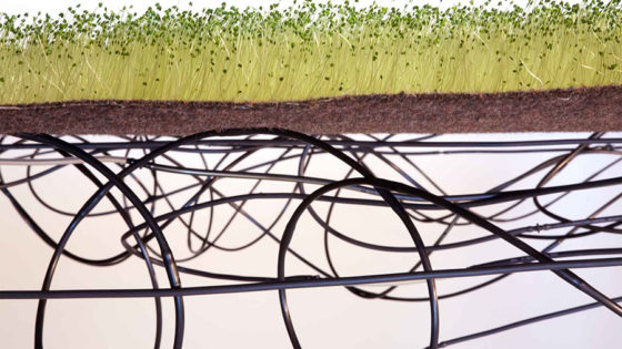 chia garden on top of black tubing