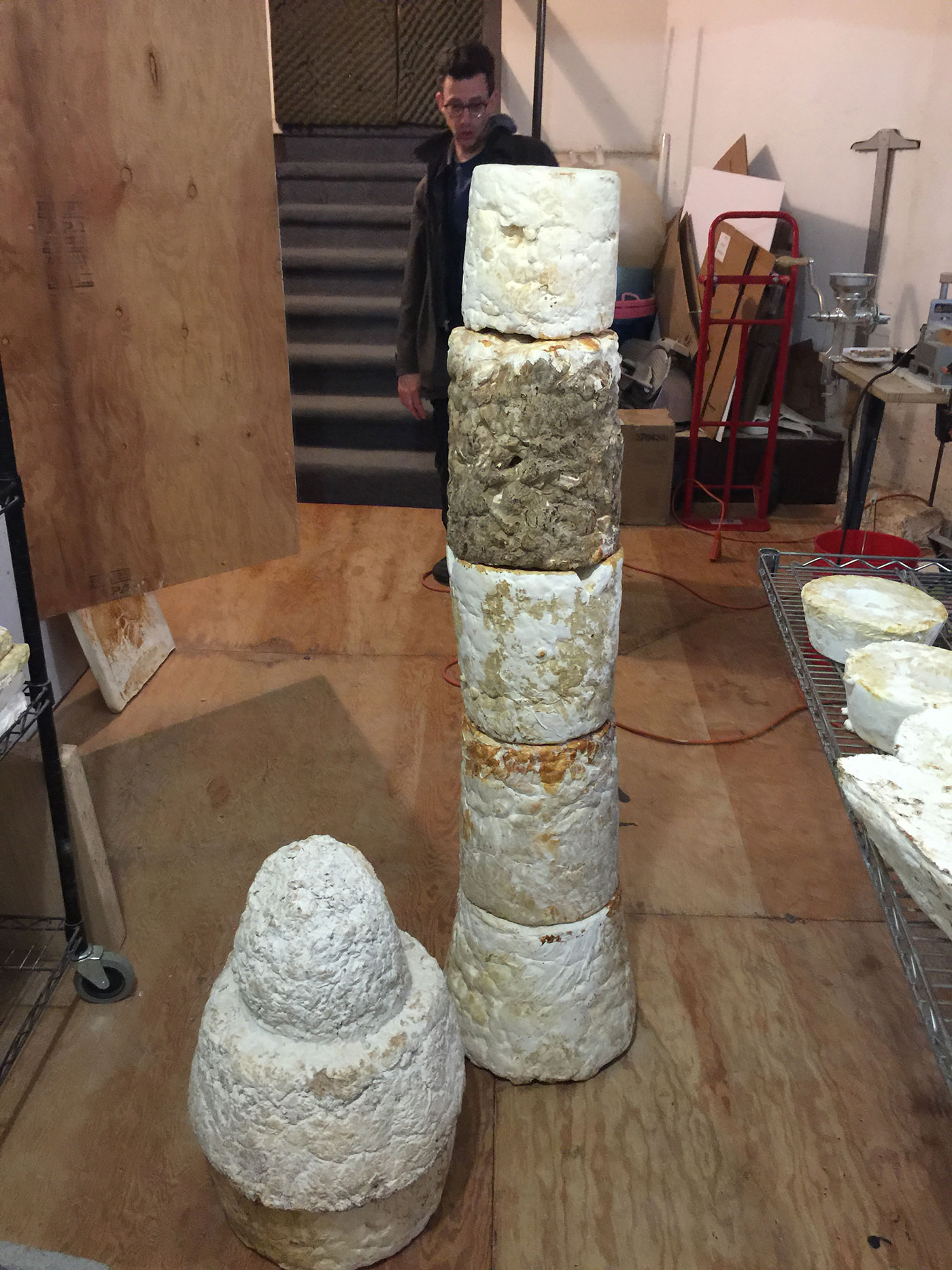 column constructed from mycelium