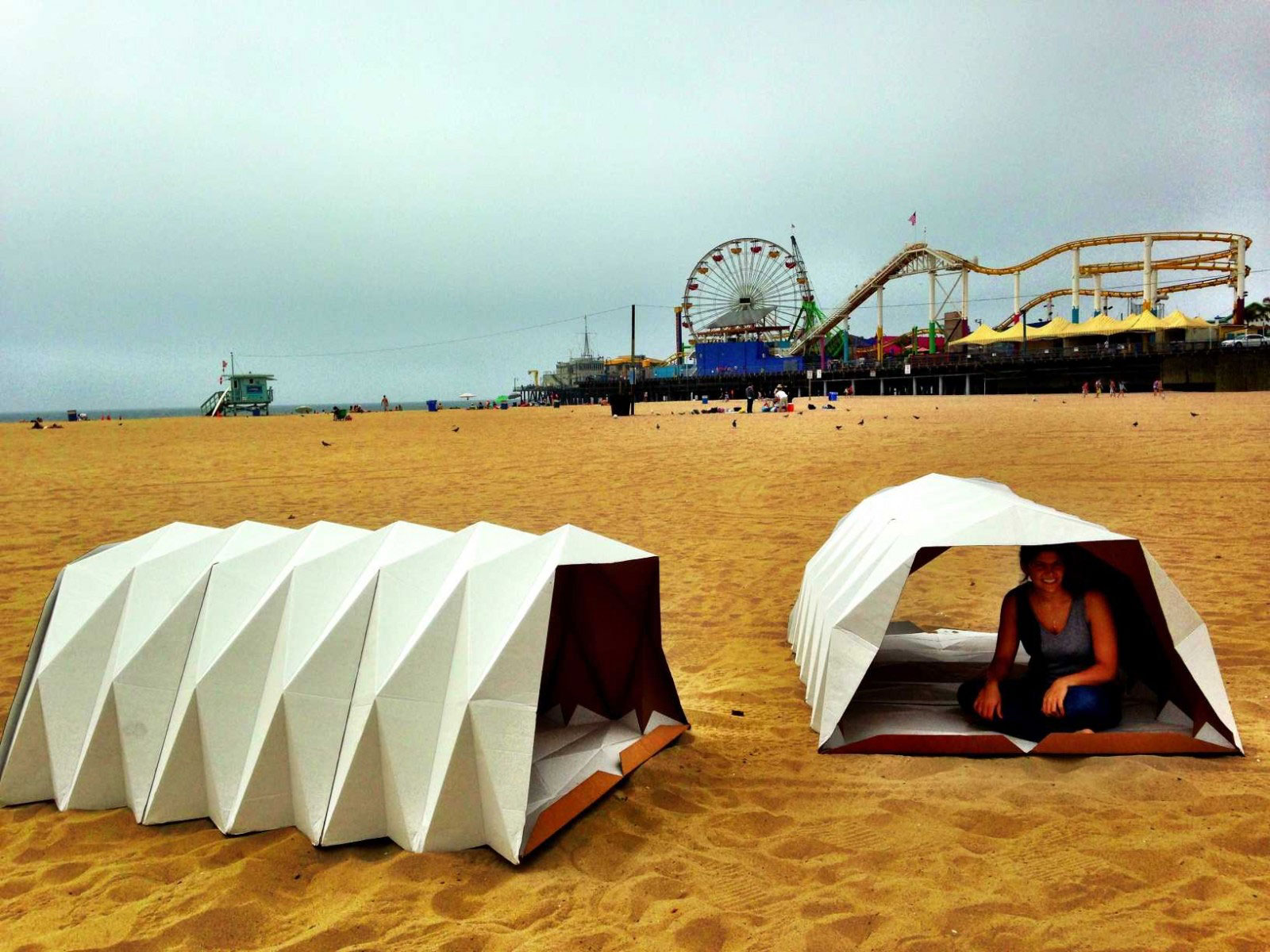 folding cardboard shelter