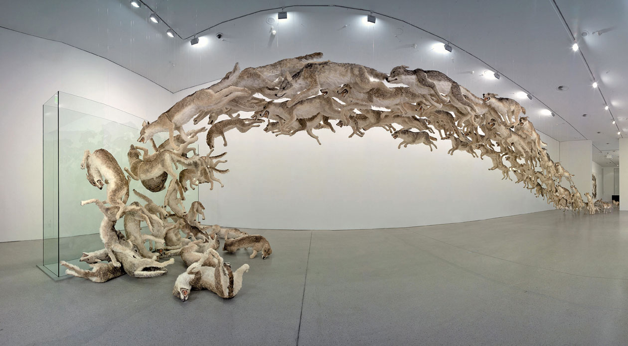 tigre cai guo qiang