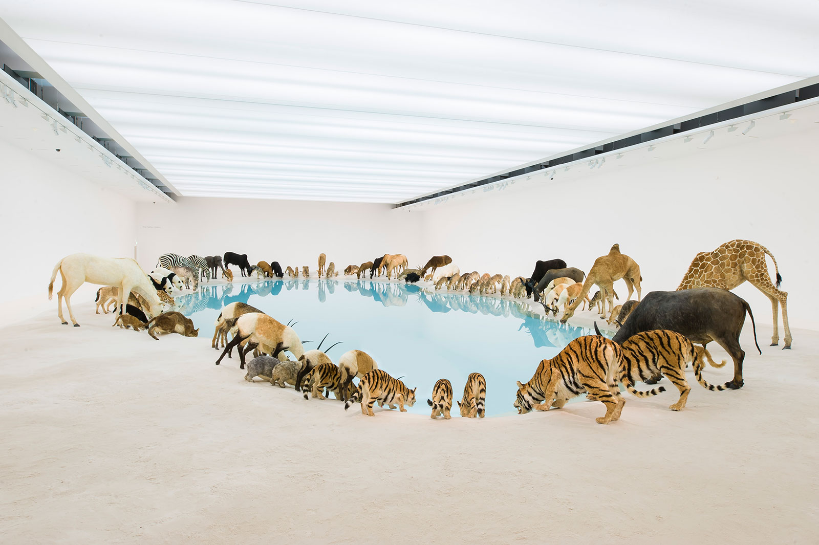 wildlife replicas drinking from blue water pool
