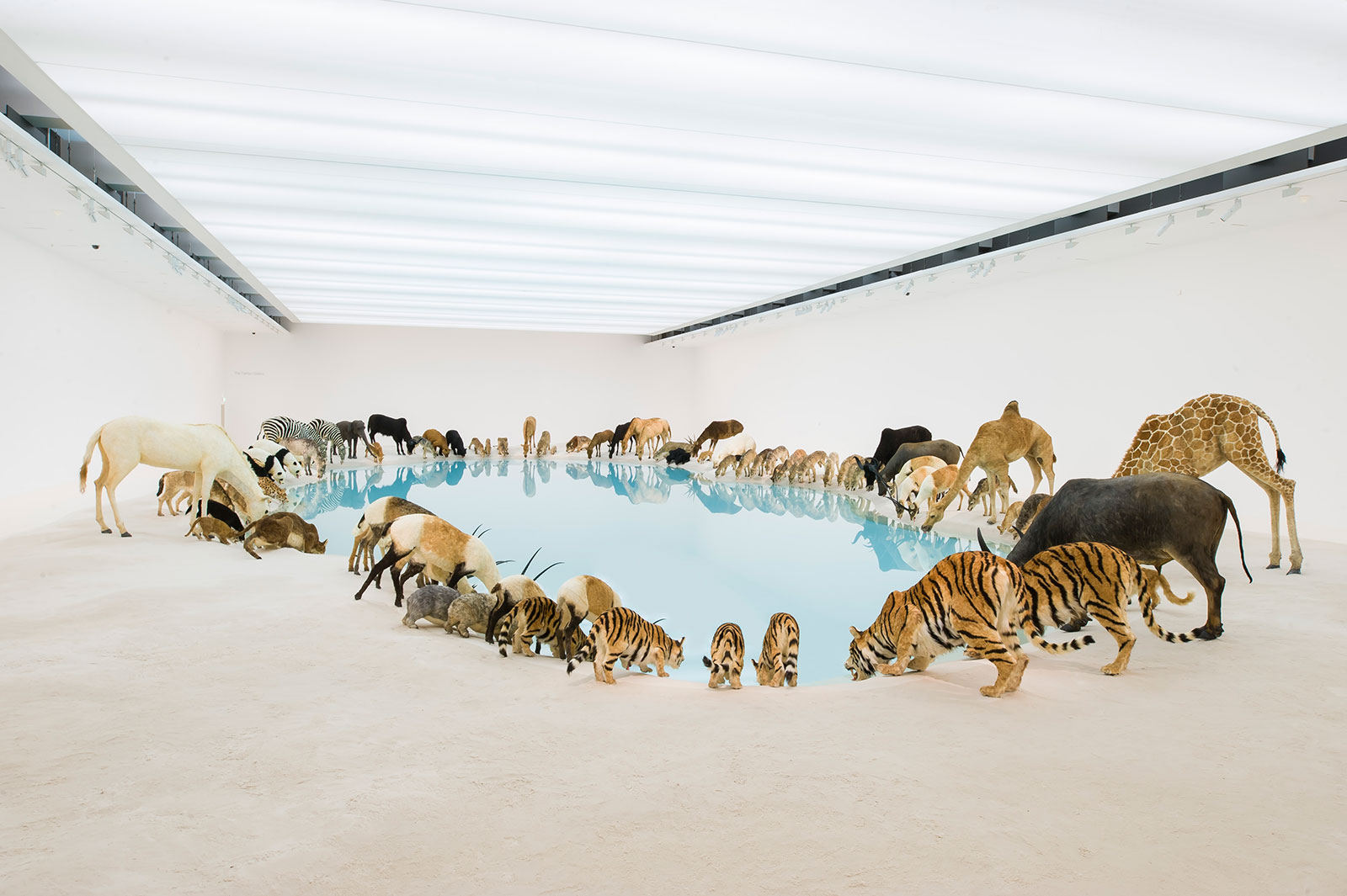 cai guo qiang installation