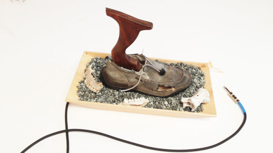 musical instrument made from immigrant shoe
