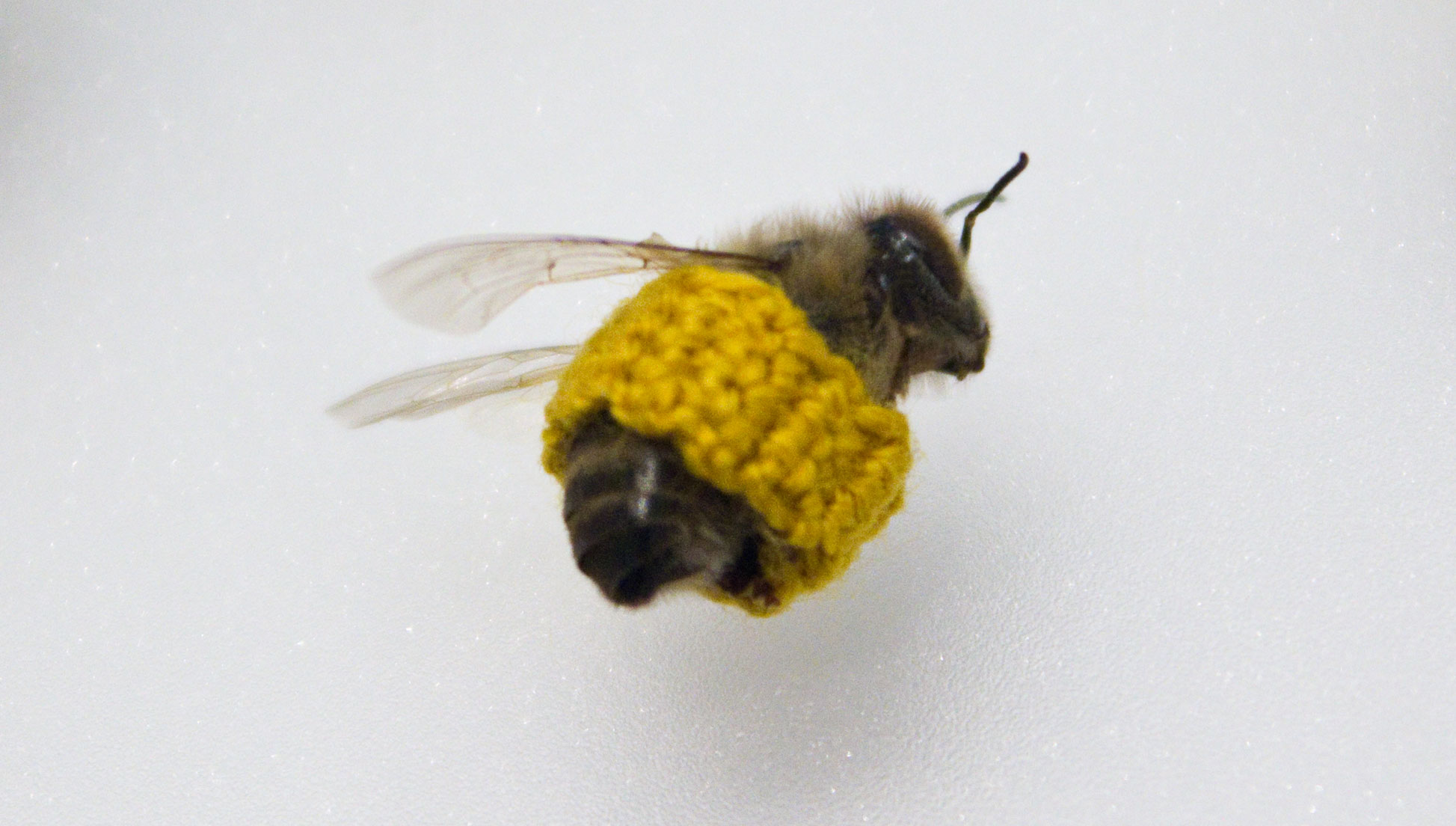 bees with knit thread covering
