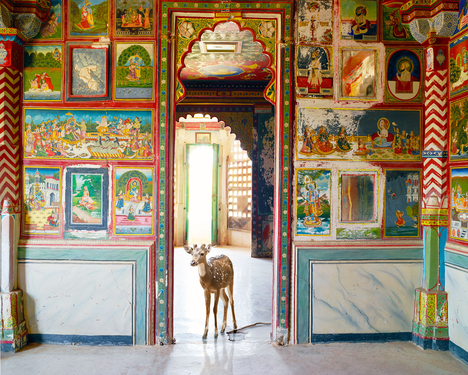 fawn in ornate Indian temple