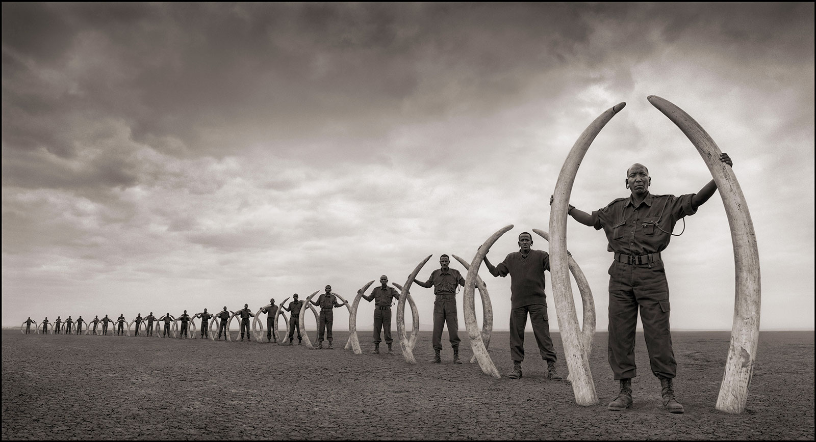 Line of rangers holding elephant tusks