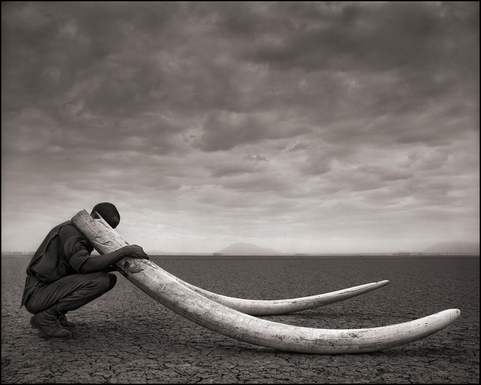 ranger holding elephant tusks