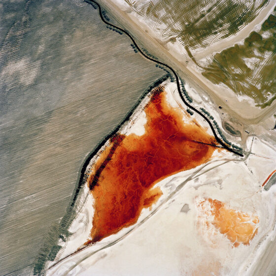 abstract patterns and color in dry lakebed