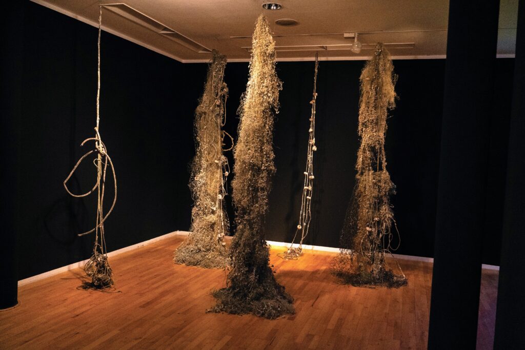 Plastic netting suspended from the ceiling like columns